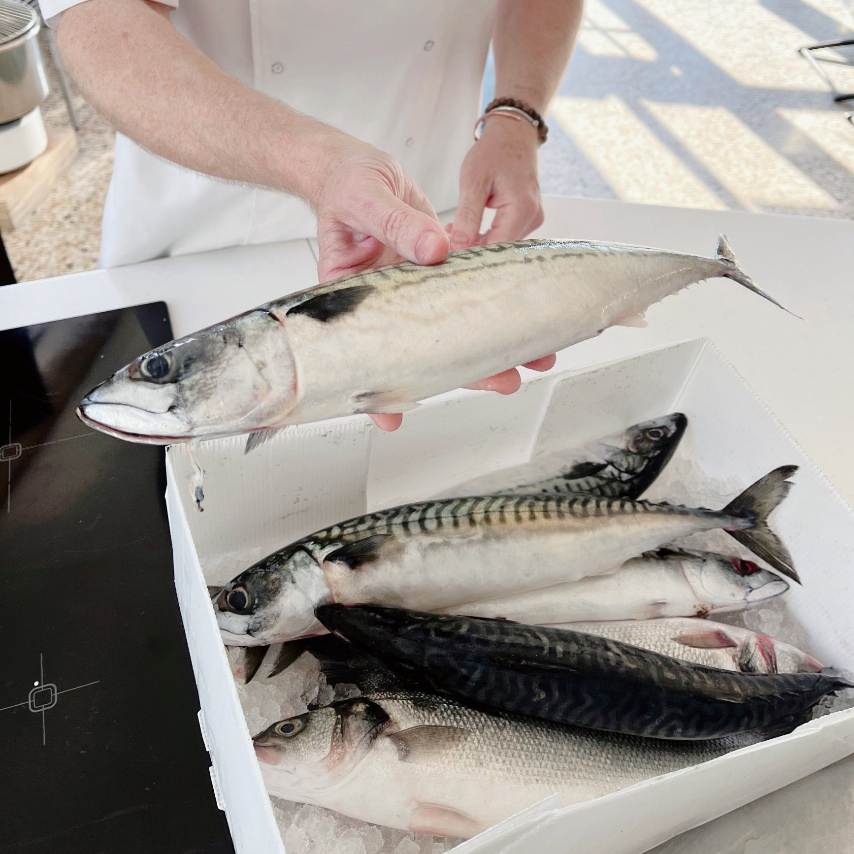 Fresh fish preparation and cooking @ Gipton